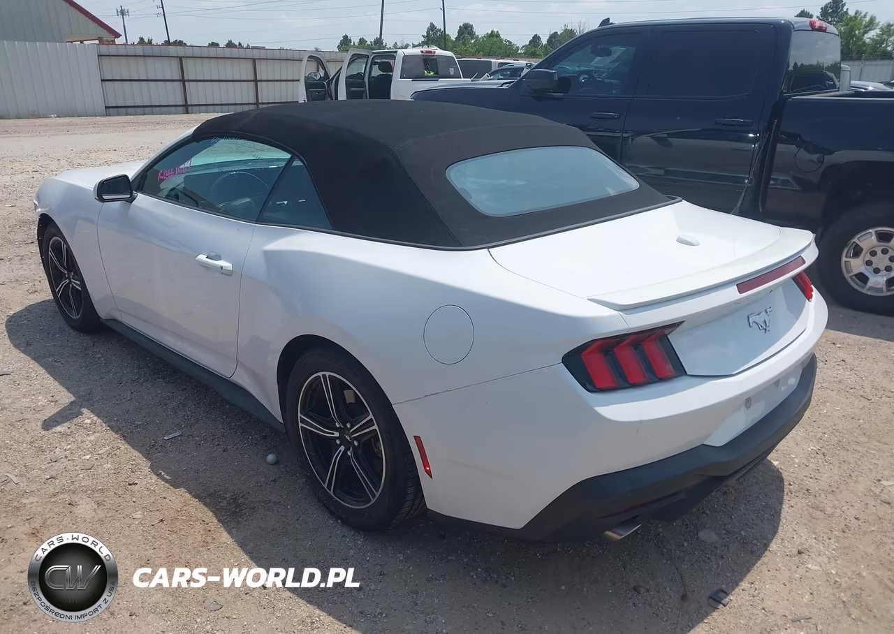 2024 Ford Mustang Ecoboost -Ecoboost Premium VIN:1FAGP8UH1R5140699 - 3