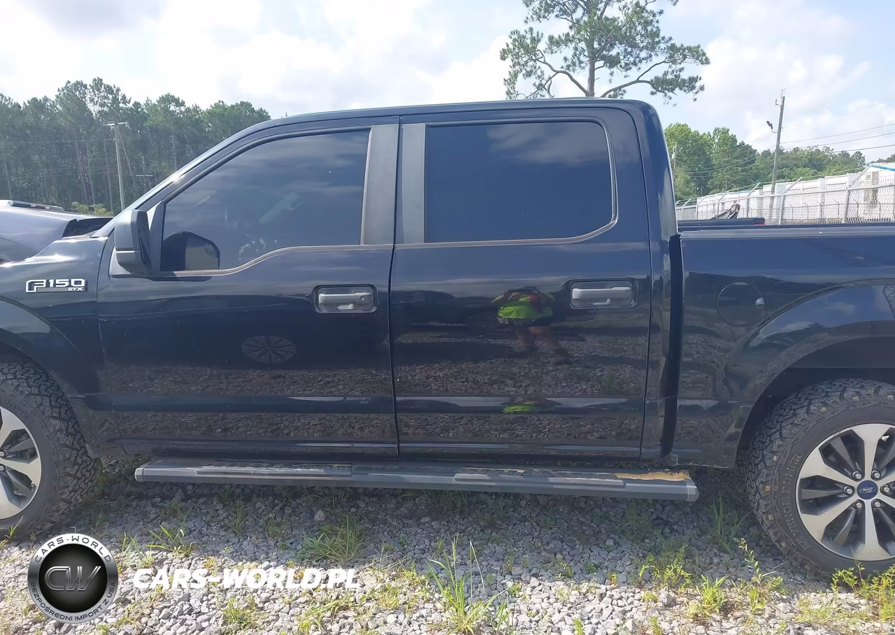 2019 Ford F-150 Xl VIN:1FTEW1EP3KFA29461 - 15
