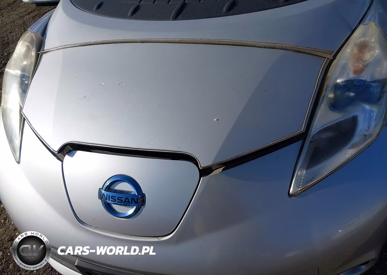 2013 Nissan Leaf Sv VIN:1N4AZ0CP6DC404756 - 10