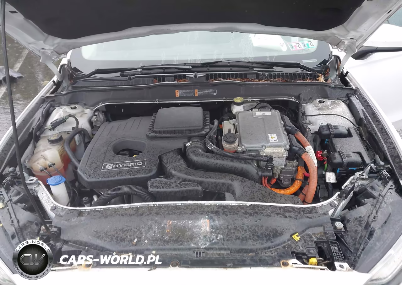 2018 Ford Fusion Hybrid Se VIN:3FA6P0LU5JR247851 - 10