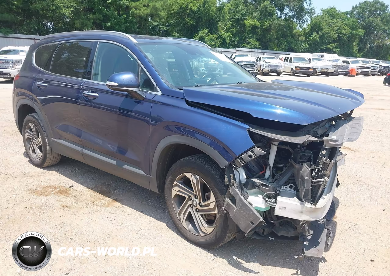 2023 Hyundai Santa Fe Sel VIN:5NMS2DAJXPH515924 - 1