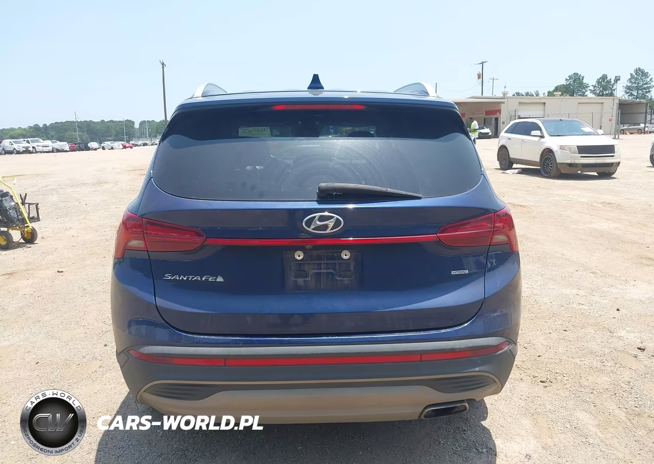 2023 Hyundai Santa Fe Sel VIN:5NMS2DAJXPH515924 - 17