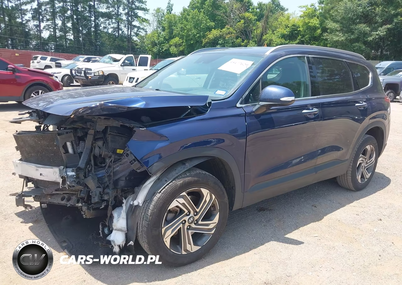 2023 Hyundai Santa Fe Sel VIN:5NMS2DAJXPH515924 - 2