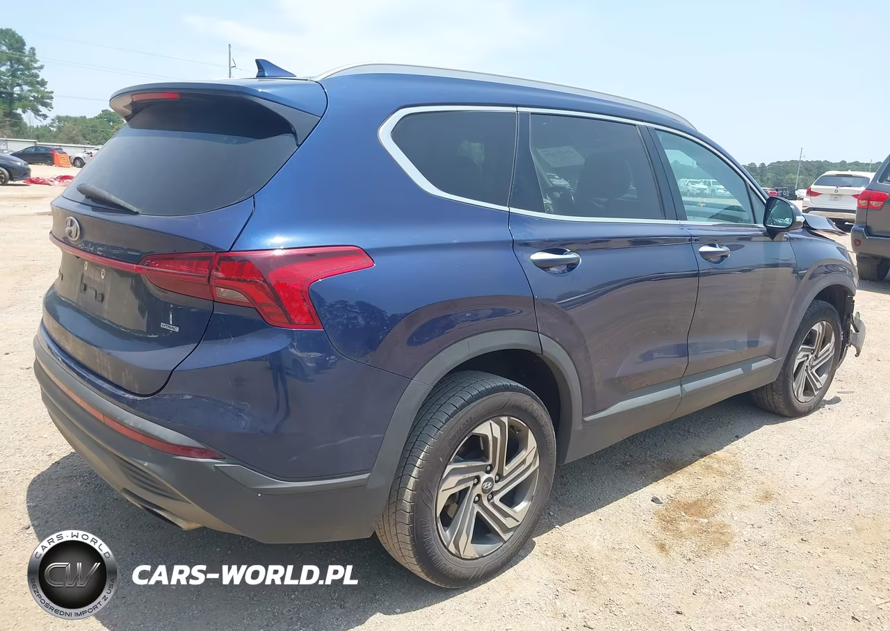 2023 Hyundai Santa Fe Sel VIN:5NMS2DAJXPH515924 - 4