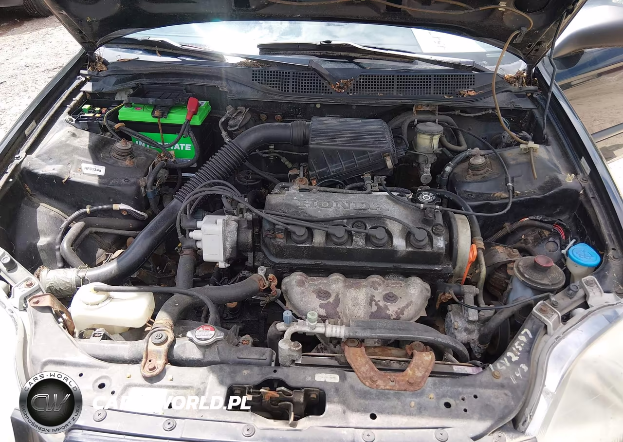 1997 Honda Civic Dx VIN:1HGEJ622XVL024429 - 10