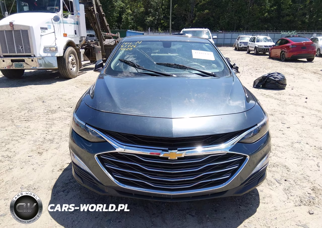 2019 Chevrolet Malibu 1Fl VIN:1G1ZC5ST5KF153047 - 13
