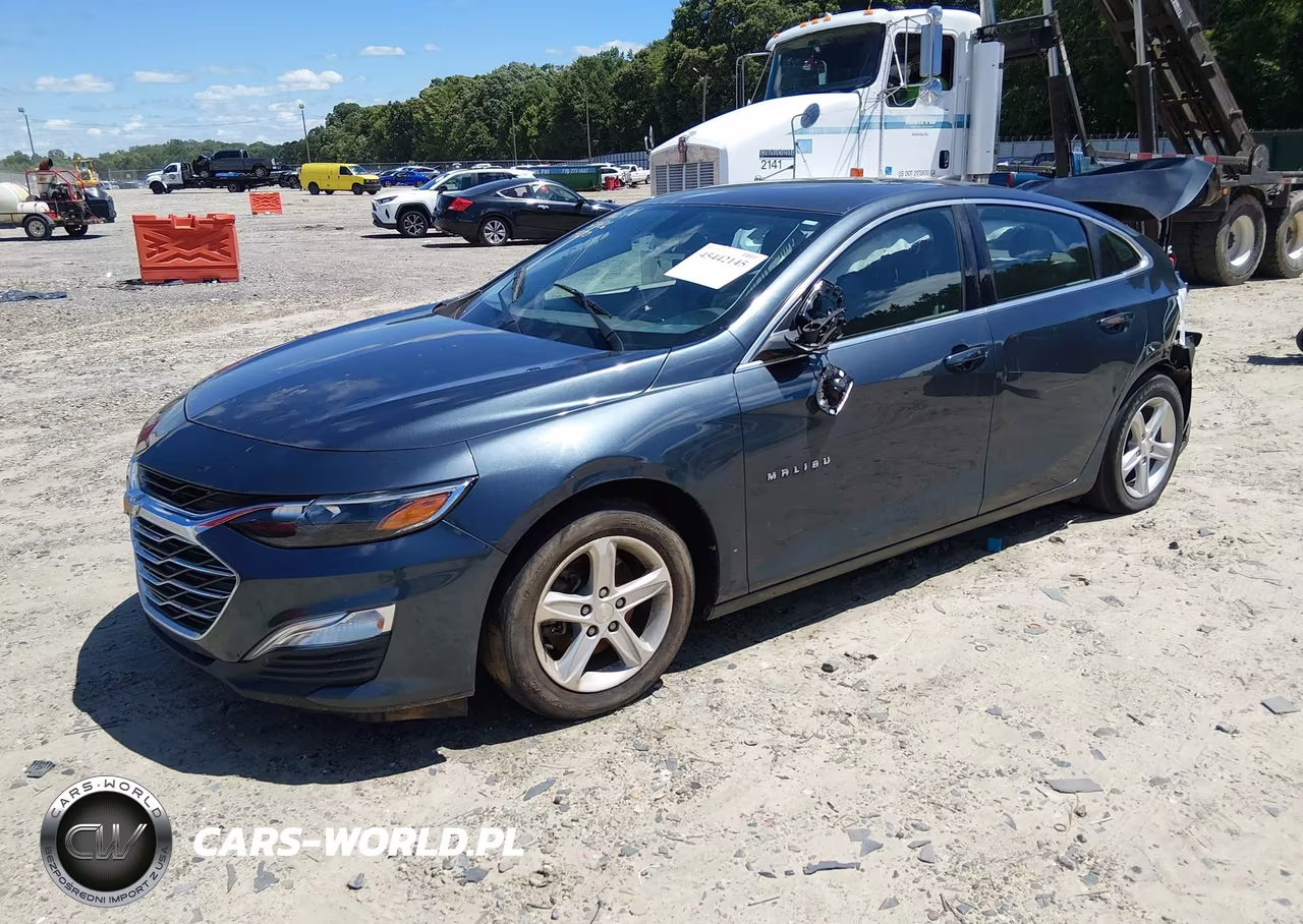 2019 Chevrolet Malibu 1Fl VIN:1G1ZC5ST5KF153047 - 2