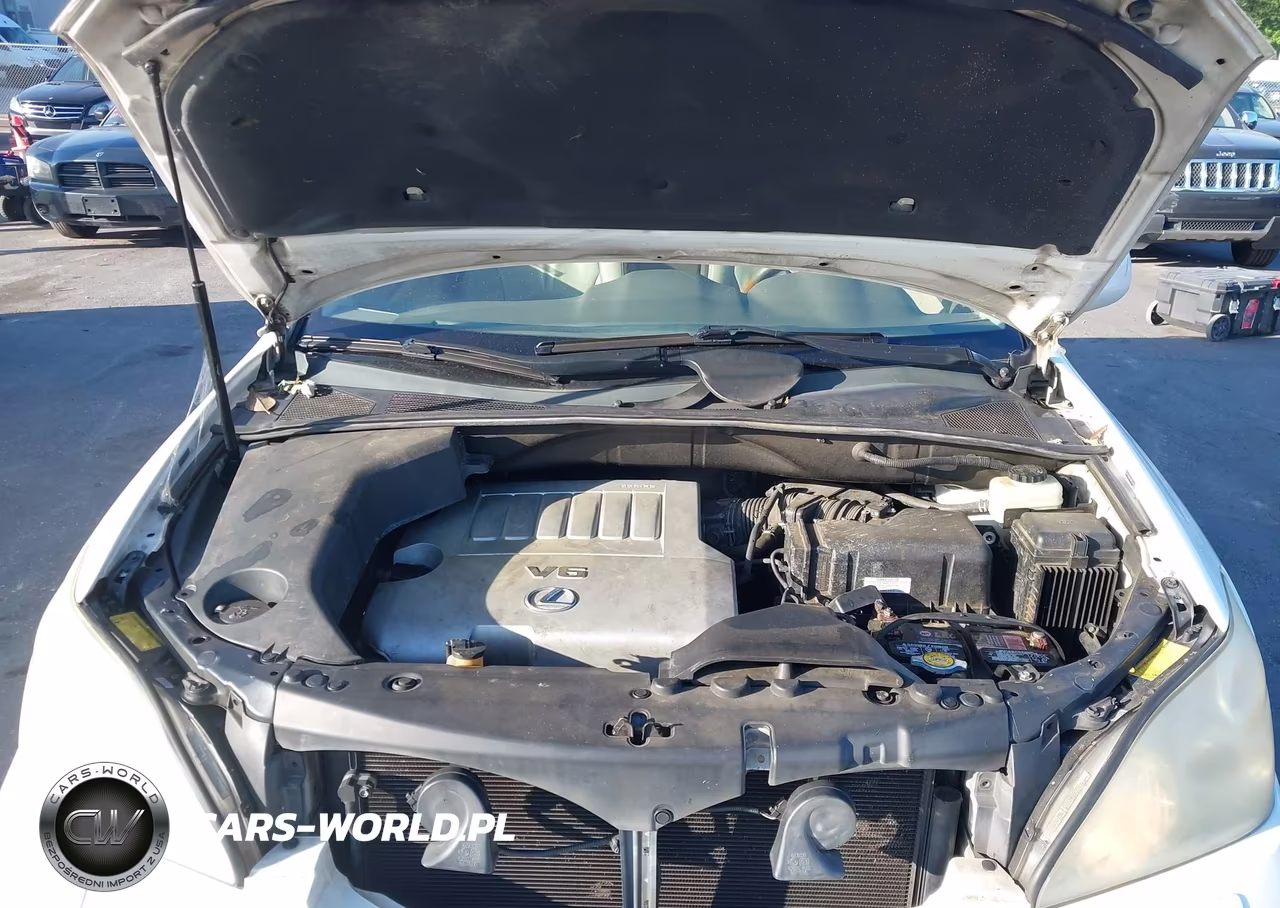 2007 Lexus Rx 350 VIN:2T2GK31U87C012324 - 10
