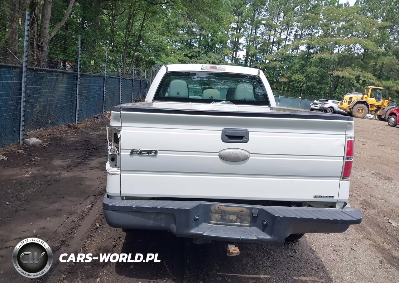 2011 Ford F-150 Stx-Xl-Xlt VIN:1FTEX1CM3BFB39853 - 16