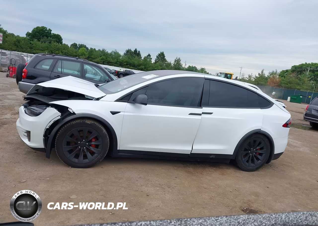 2019 Tesla Model X 100D-75D-Long Range-Standard Range VIN:5YJXCDE22KF189648 - 13