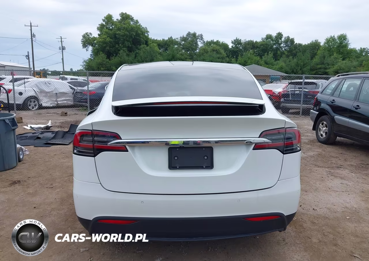 2019 Tesla Model X 100D-75D-Long Range-Standard Range VIN:5YJXCDE22KF189648 - 15