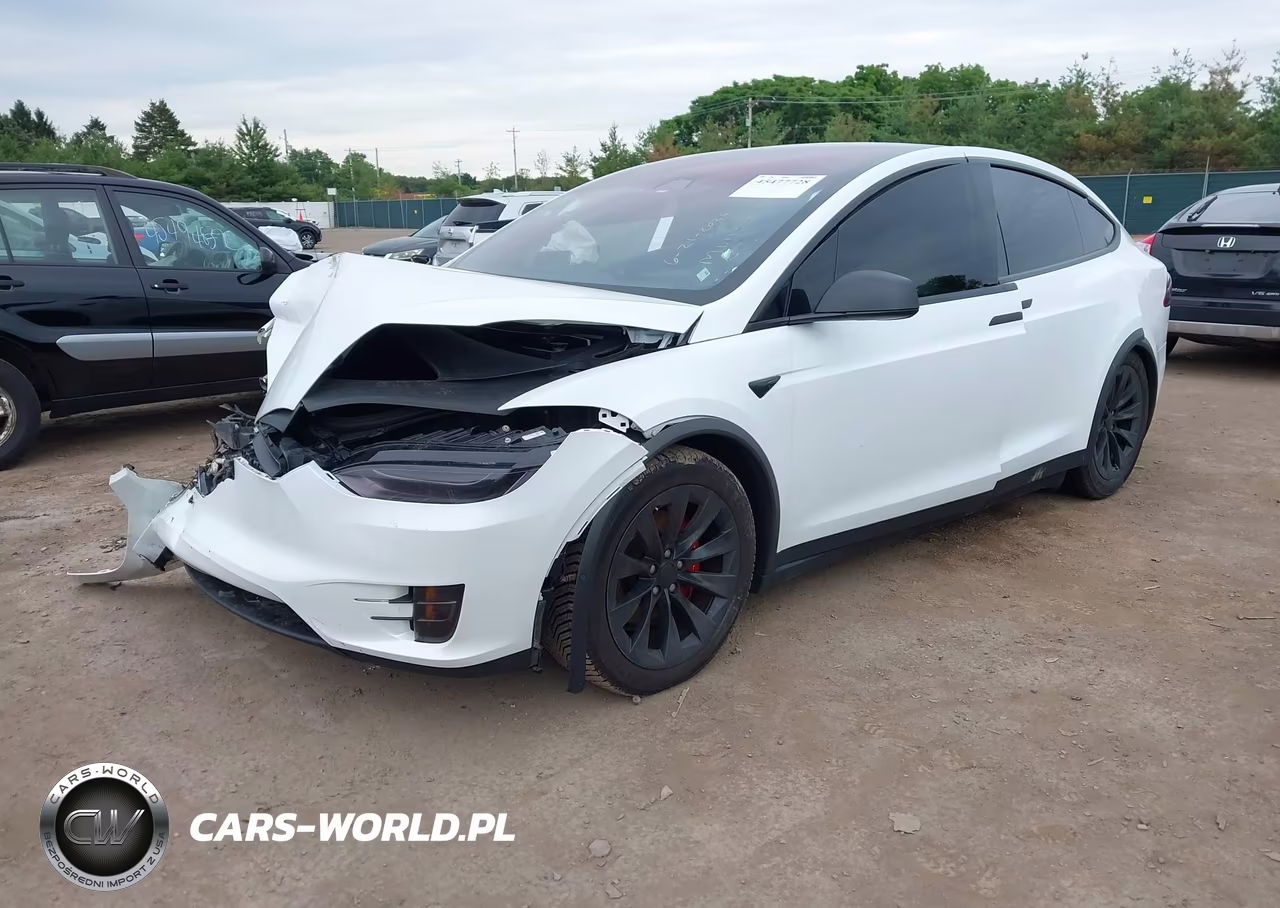 2019 Tesla Model X 100D-75D-Long Range-Standard Range VIN:5YJXCDE22KF189648 - 2