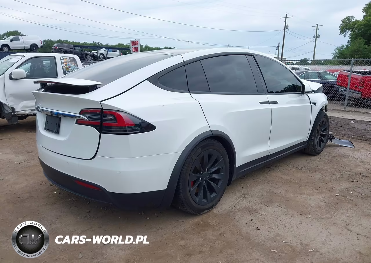 2019 Tesla Model X 100D-75D-Long Range-Standard Range VIN:5YJXCDE22KF189648 - 4