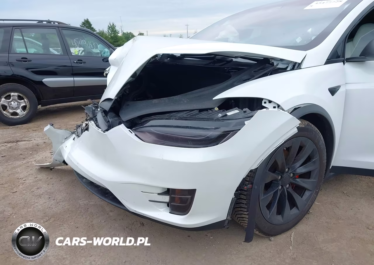 2019 Tesla Model X 100D-75D-Long Range-Standard Range VIN:5YJXCDE22KF189648 - 6