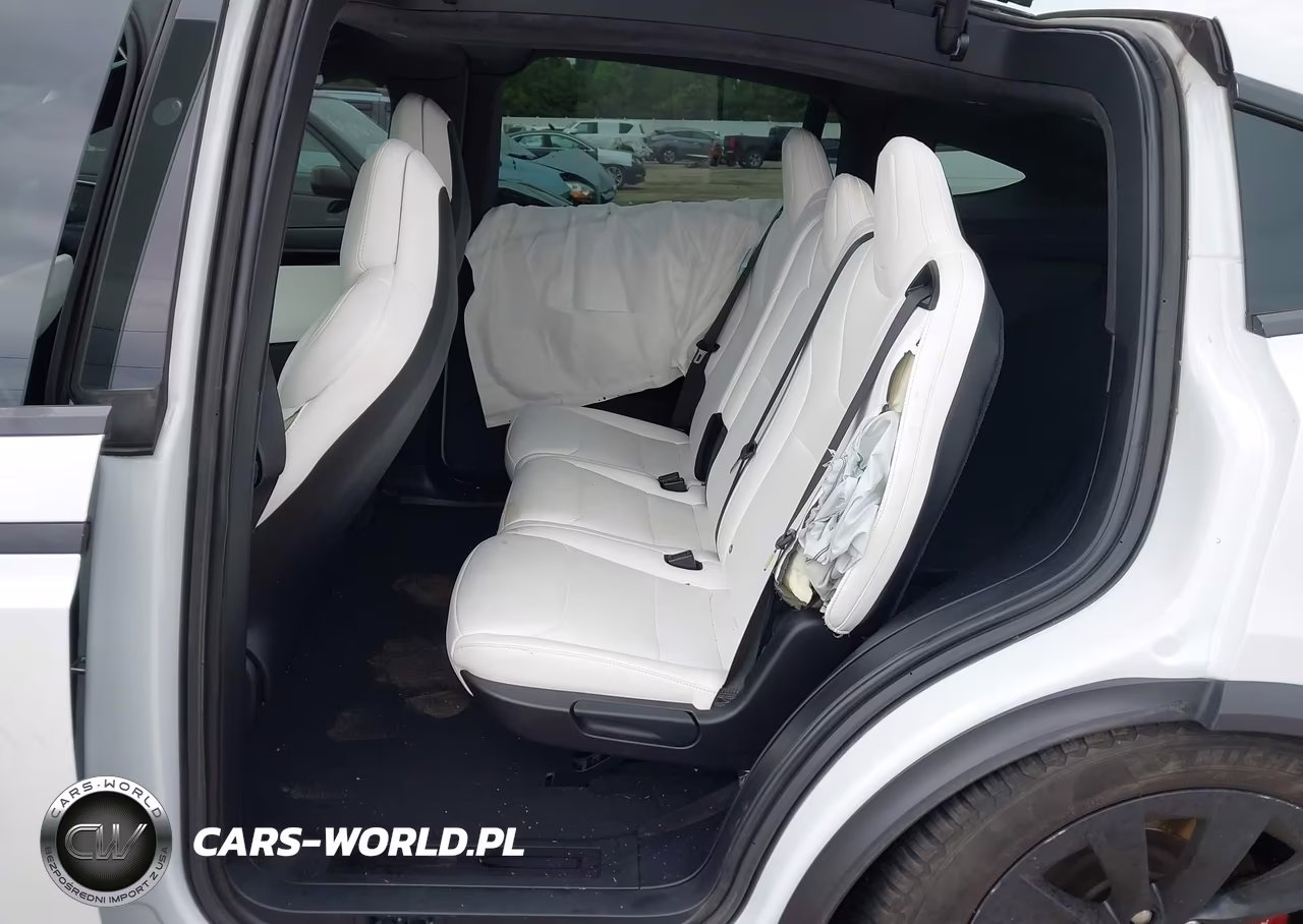 2019 Tesla Model X 100D-75D-Long Range-Standard Range VIN:5YJXCDE22KF189648 - 8