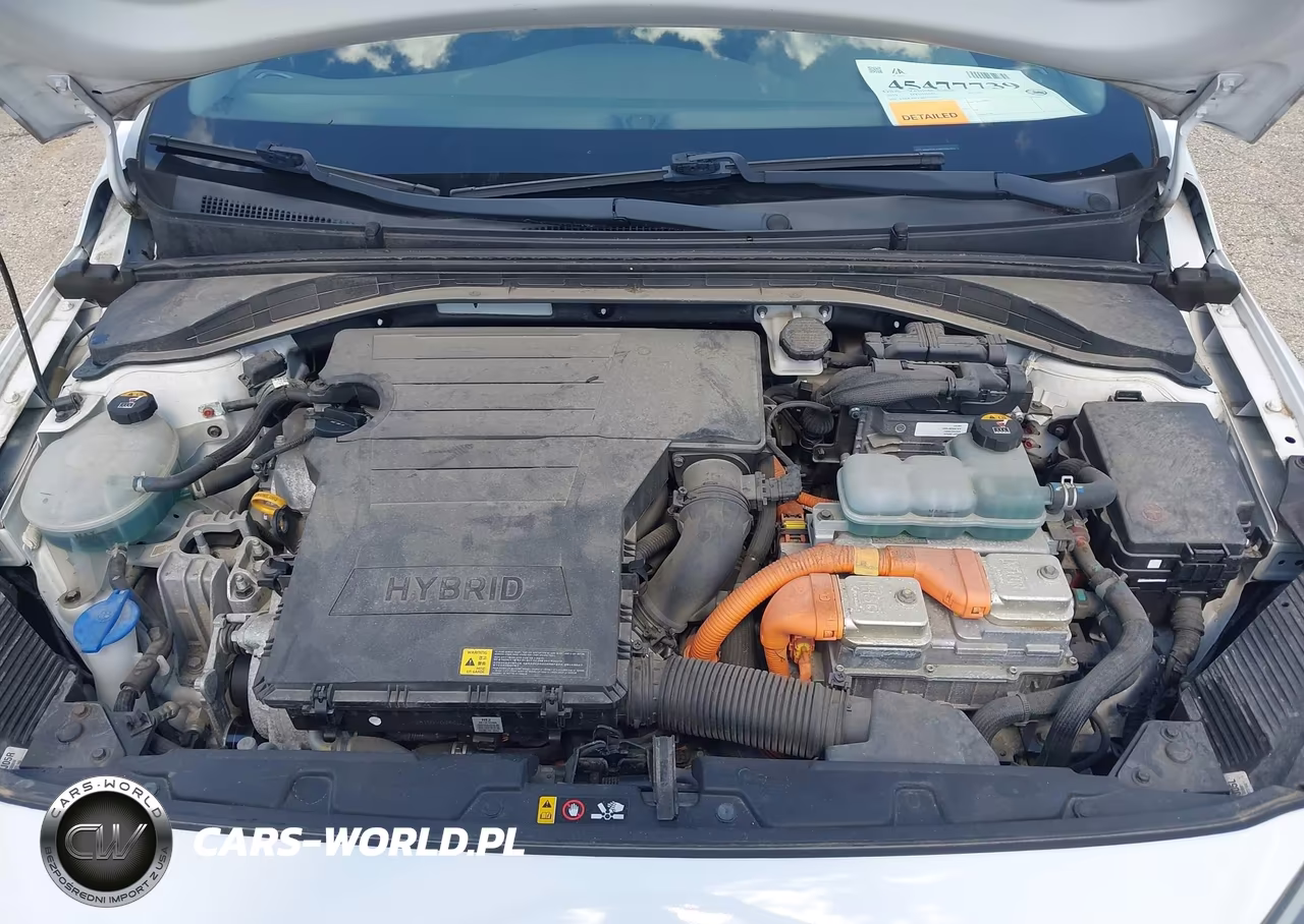 2019 Hyundai Ioniq Hybrid Blue VIN:KMHC65LC8KU106721 - 10