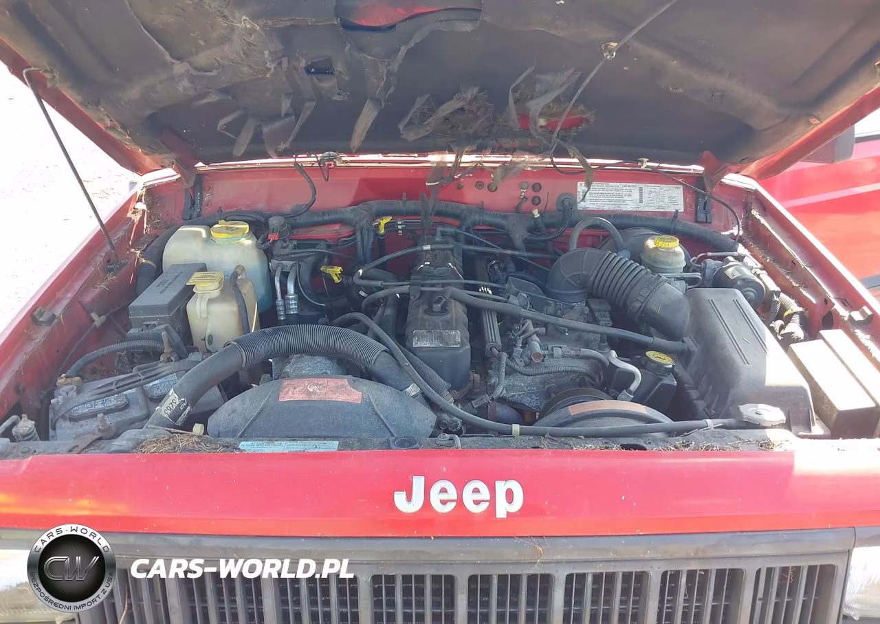 1996 Jeep Cherokee Sport-Classic VIN:1J4FJ68S2TL248098 - 10