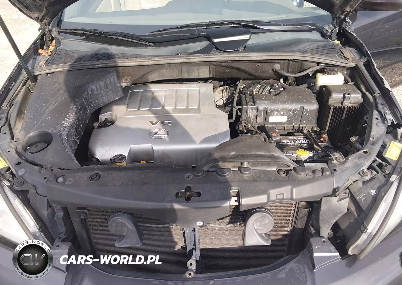2009 Lexus Rx 350 VIN:2T2GK31U69C076333 - 10