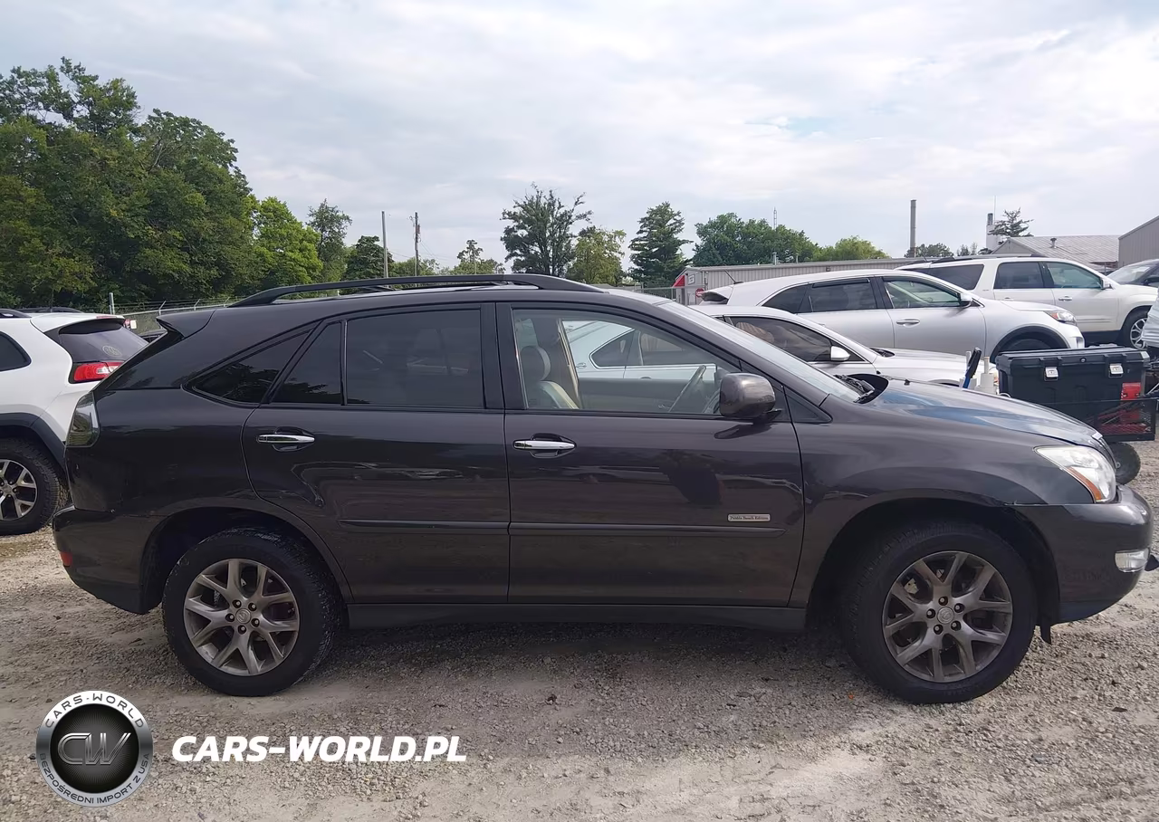2009 Lexus Rx 350 VIN:2T2GK31U69C076333 - 12