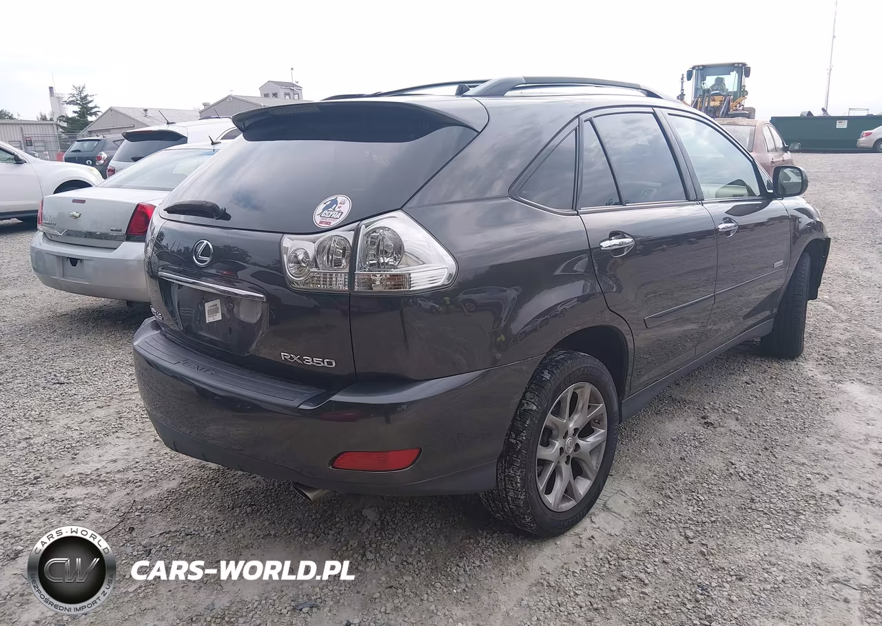 2009 Lexus Rx 350 VIN:2T2GK31U69C076333 - 4