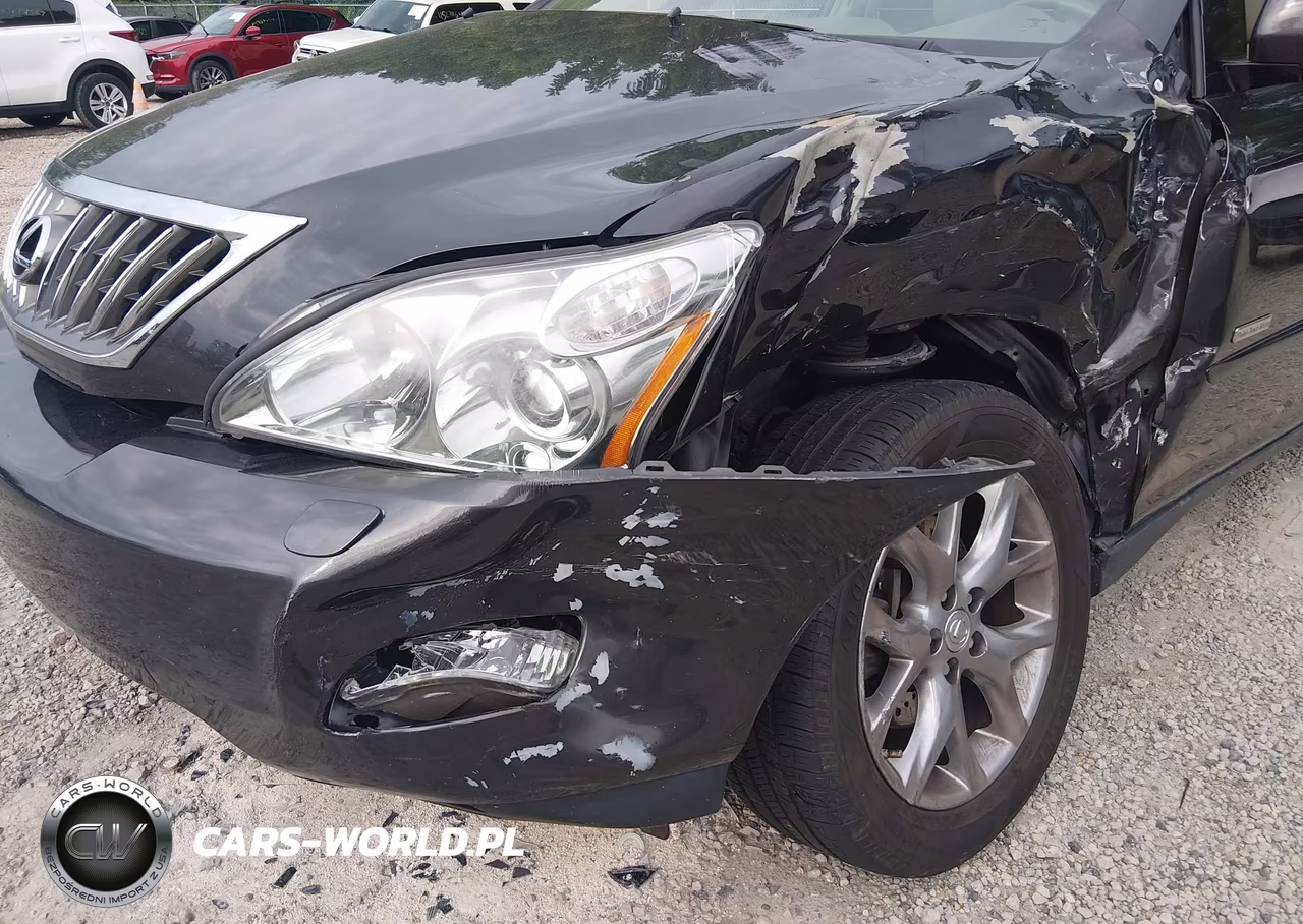 2009 Lexus Rx 350 VIN:2T2GK31U69C076333 - 6