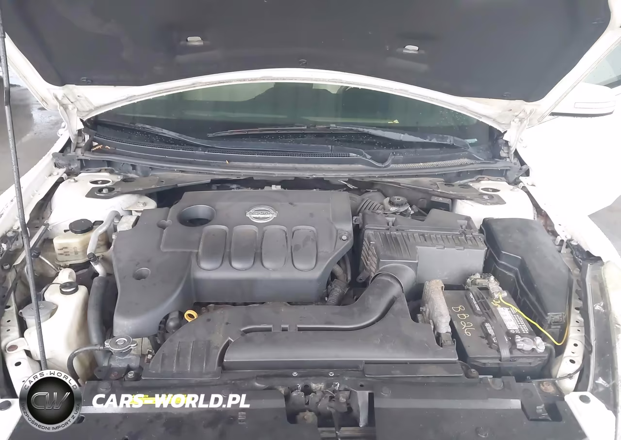 2010 Nissan Altima 2.5 S VIN:1N4AL2EP5AC195211 - 10