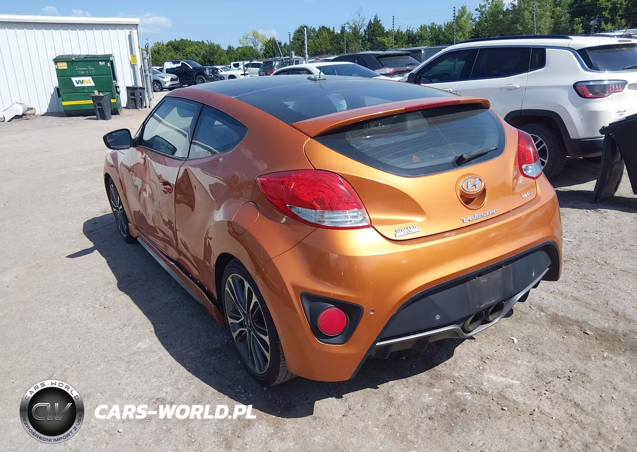 2016 Hyundai Veloster Turbo VIN:KMHTC6AE9GU292568 - 3