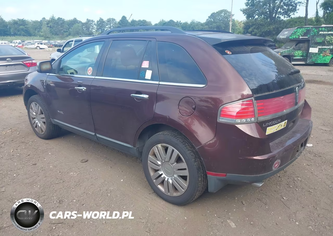 2009 Lincoln Mkx VIN:2LMDU88C59BJ03025 - 3