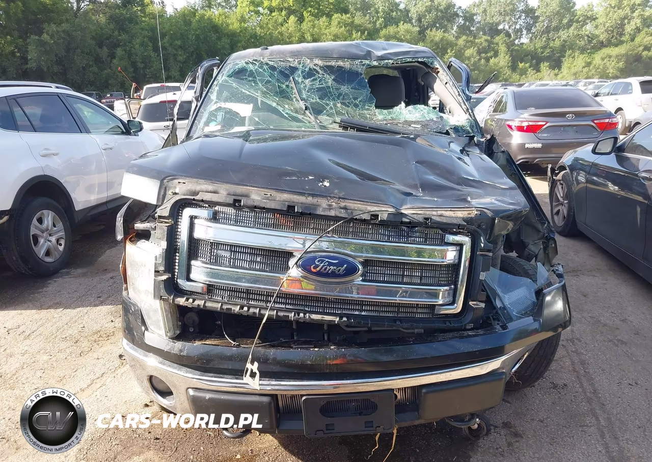 2014 Ford F-150 Xlt VIN:1FTFX1EF4EKF48376 - 15