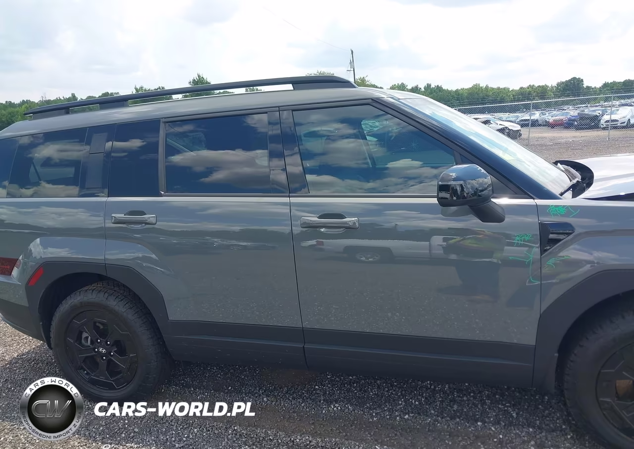 2026 Hyundai Santa Fe Xrt VIN:5NMP3DGL3TH163579 - 13