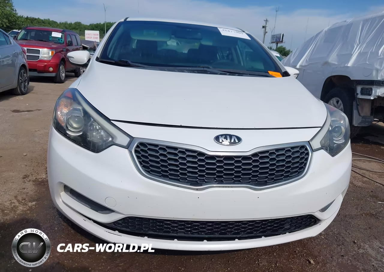 2014 Kia Forte Lx VIN:KNAFX4A62E5196174 - 12