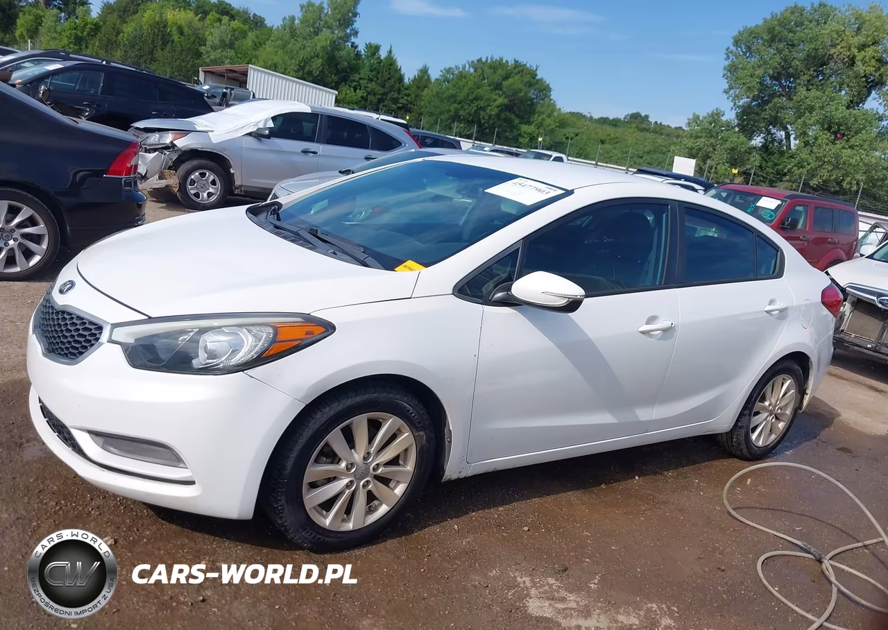 2014 Kia Forte Lx VIN:KNAFX4A62E5196174 - 14