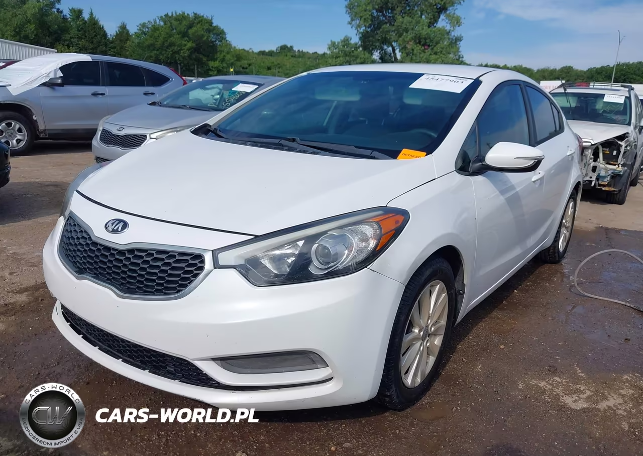 2014 Kia Forte Lx VIN:KNAFX4A62E5196174 - 2
