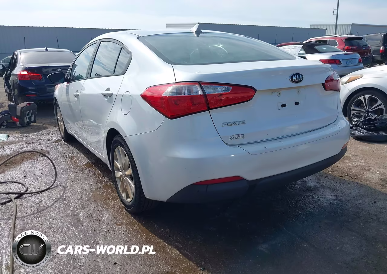 2014 Kia Forte Lx VIN:KNAFX4A62E5196174 - 3