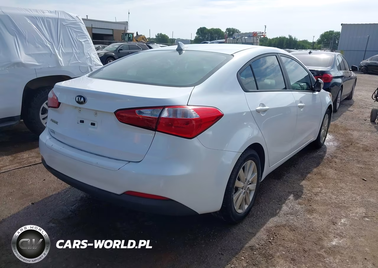 2014 Kia Forte Lx VIN:KNAFX4A62E5196174 - 4