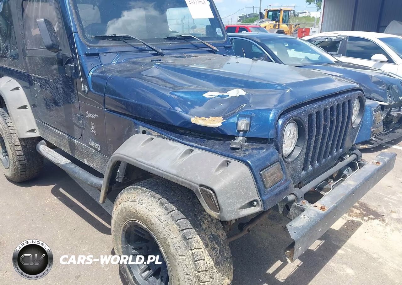 2002 Jeep Wrangler Sport VIN:1J4FA49S62P735914 - 6