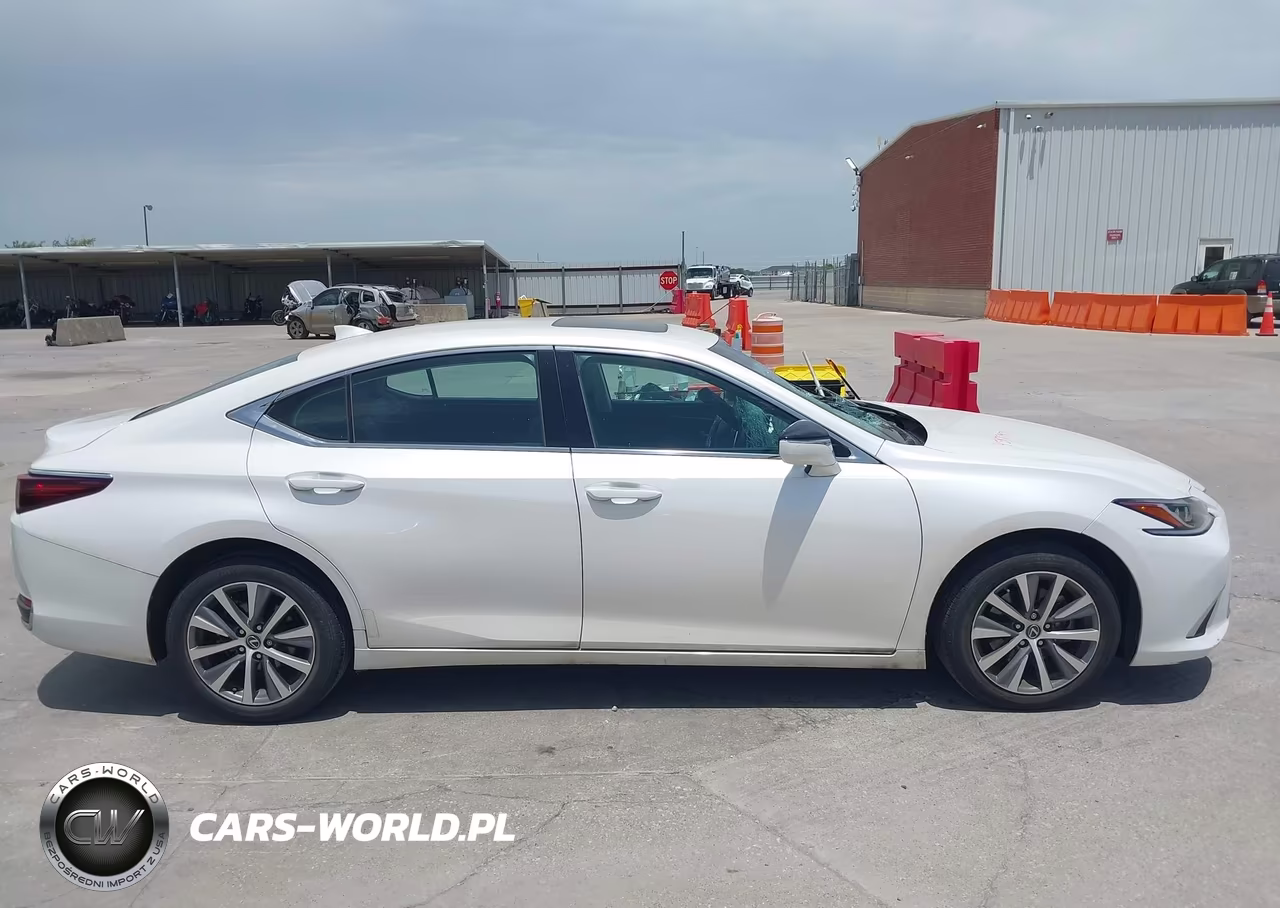 2021 Lexus Es 250 Base-250 Luxury-250 Ultra Luxury-250 F Sport VIN:58AD11D12MU001211 - 13