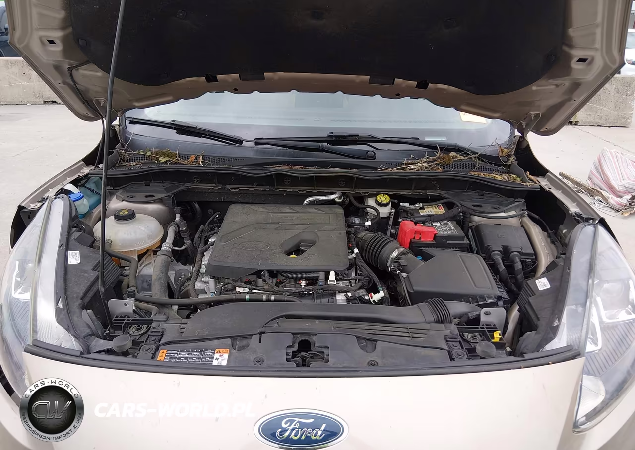 2020 Ford Escape Sel VIN:1FMCU0H67LUA76060 - 10