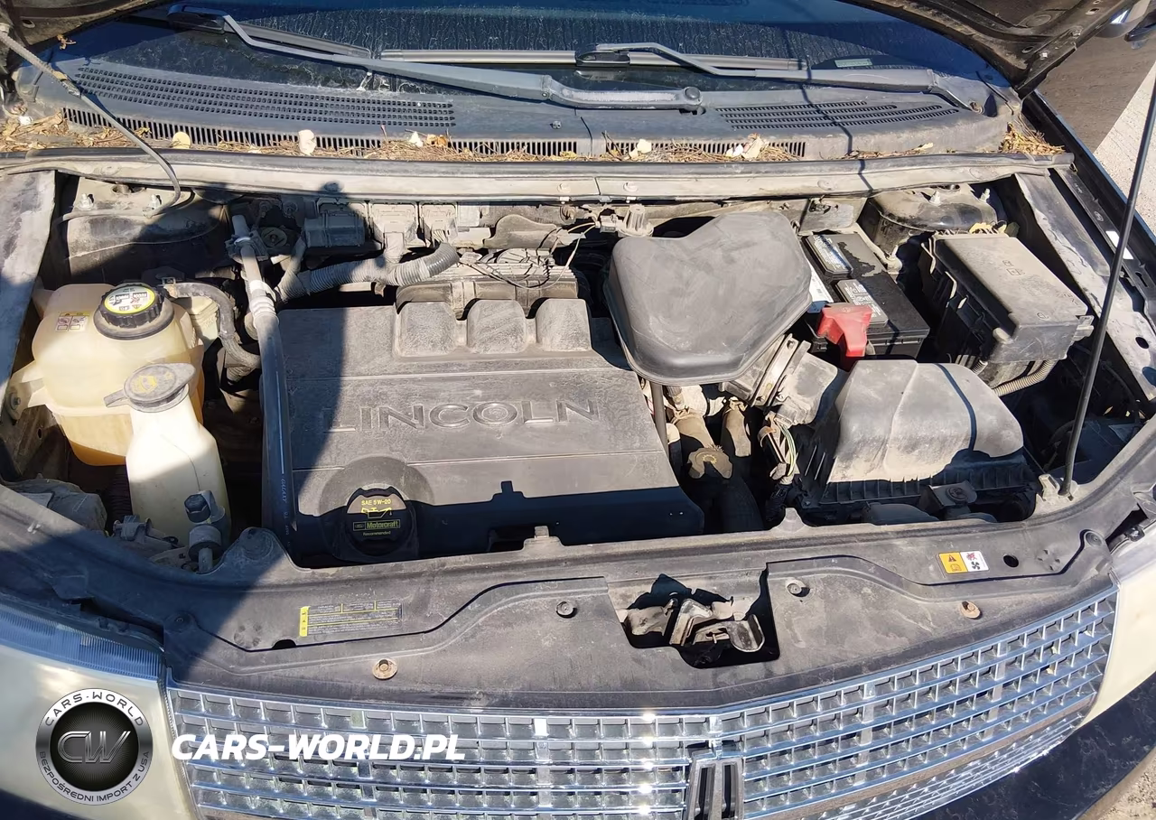 2008 Lincoln Mkx VIN:2LMDU88C08BJ25223 - 10