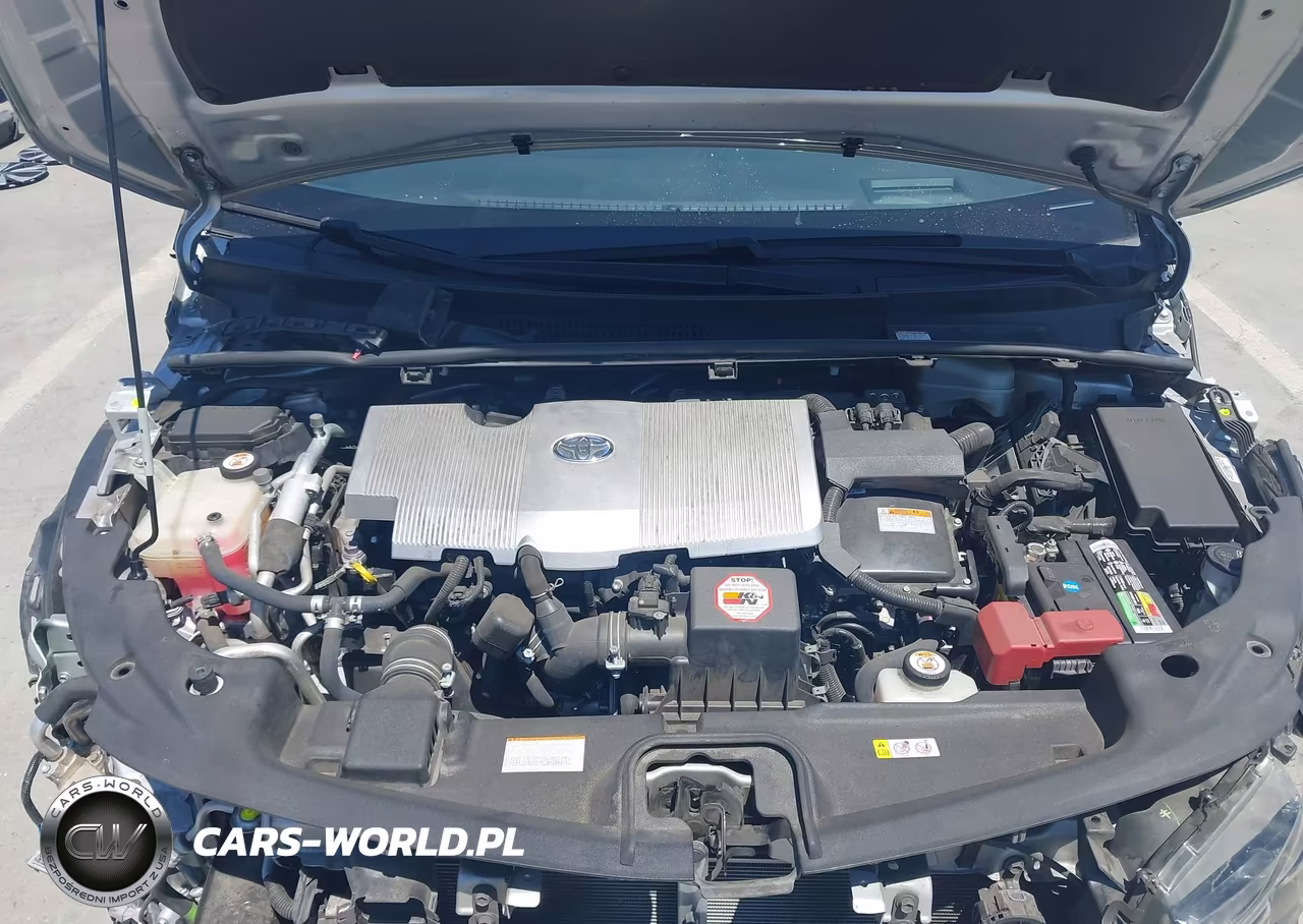 2019 Toyota Prius Prime Advanced VIN:JTDKARFPXK3111672 - 10