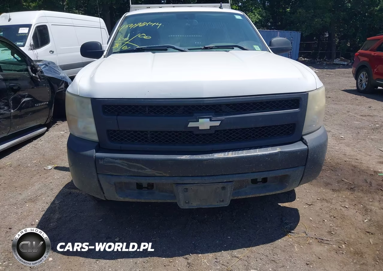 2008 Chevrolet Silverado 1500 Work Truck VIN:1GCEC14XX8Z162025 - 6