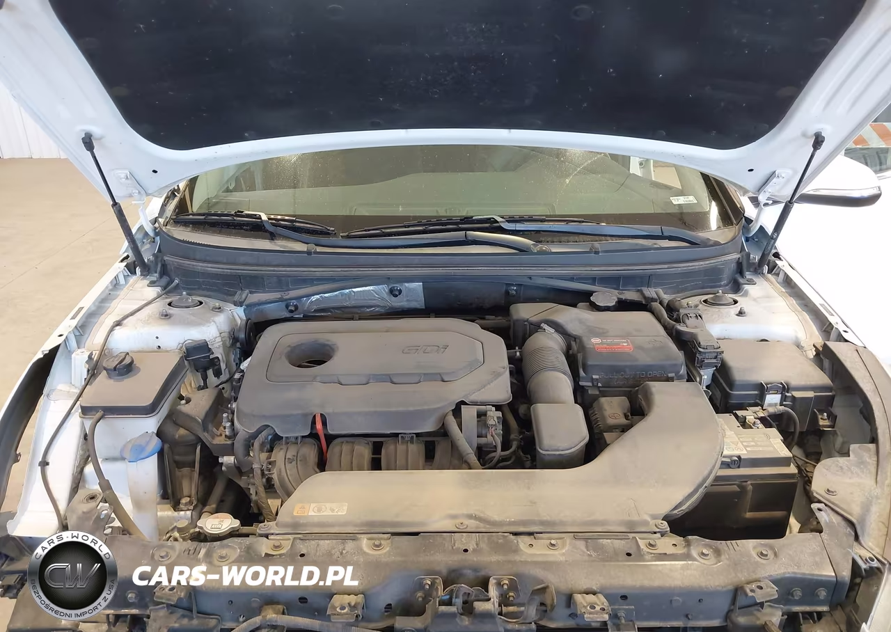 2016 Hyundai Sonata Sport VIN:5NPE34AF5GH271947 - 10