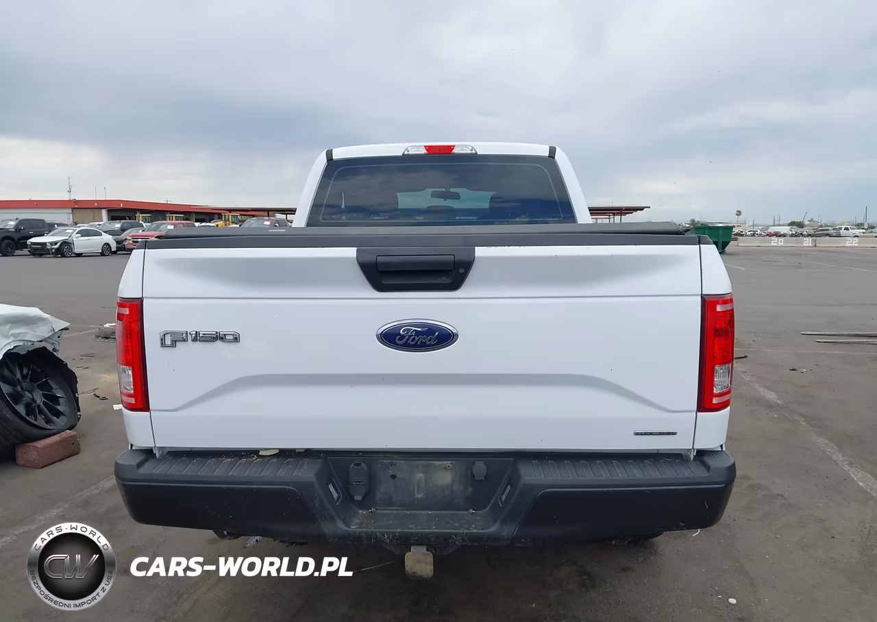 2016 Ford F-150 Xl-Xlt VIN:1FTEX1E84GKE51310 - 17