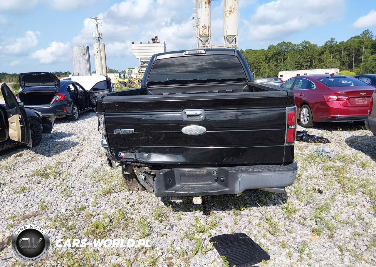 2012 Ford F-150 Fx2-Lariat-Xl-Xlt VIN:1FTFX1CTXCKE18799 - 17