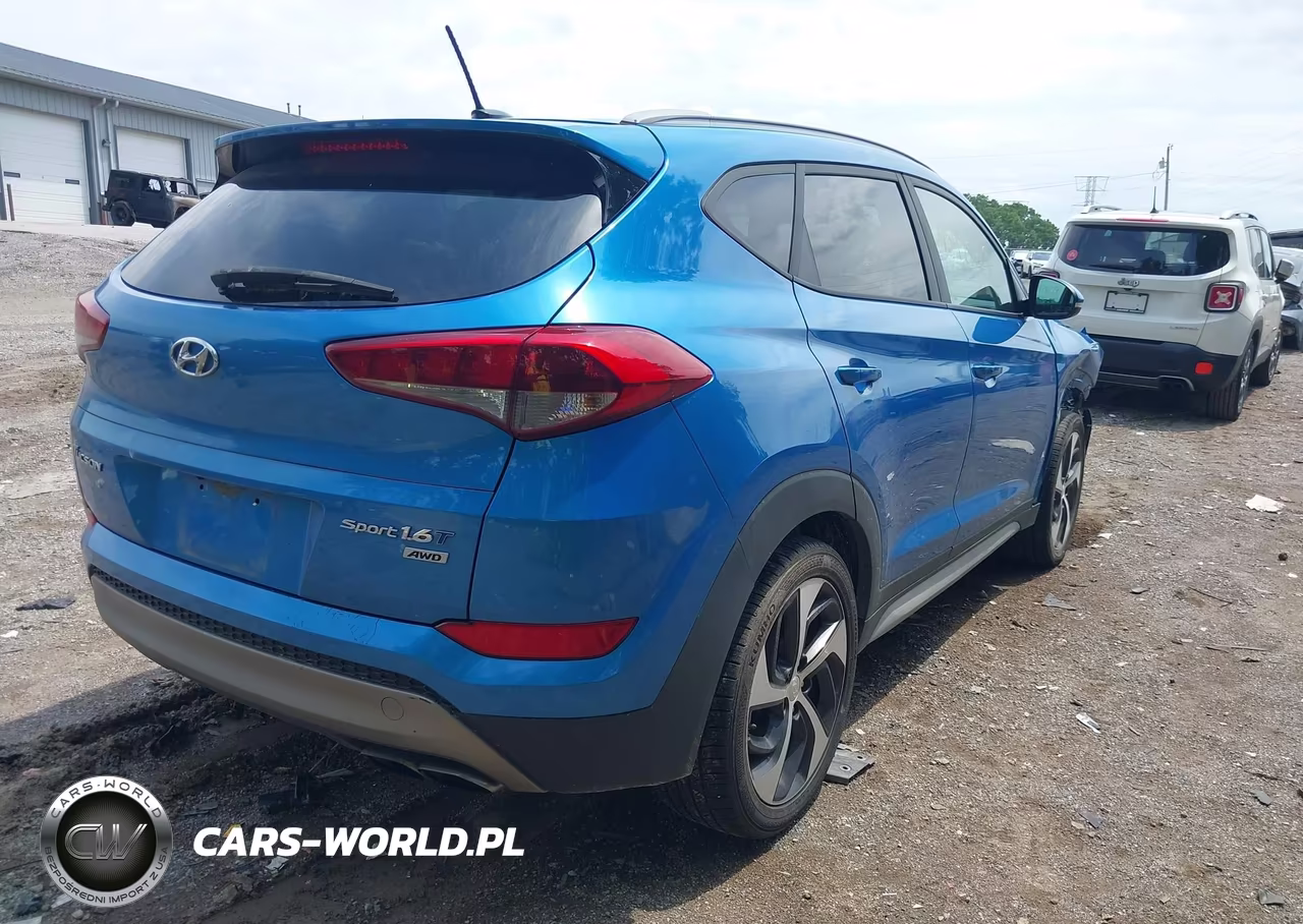 2017 Hyundai Tucson Sport VIN:KM8J3CA24HU492948 - 4