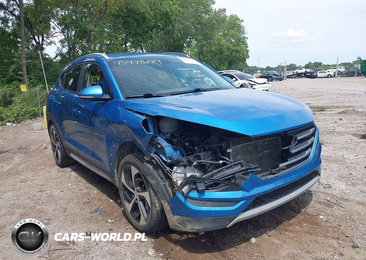 2017 Hyundai Tucson Sport VIN:KM8J3CA24HU492948 - 6