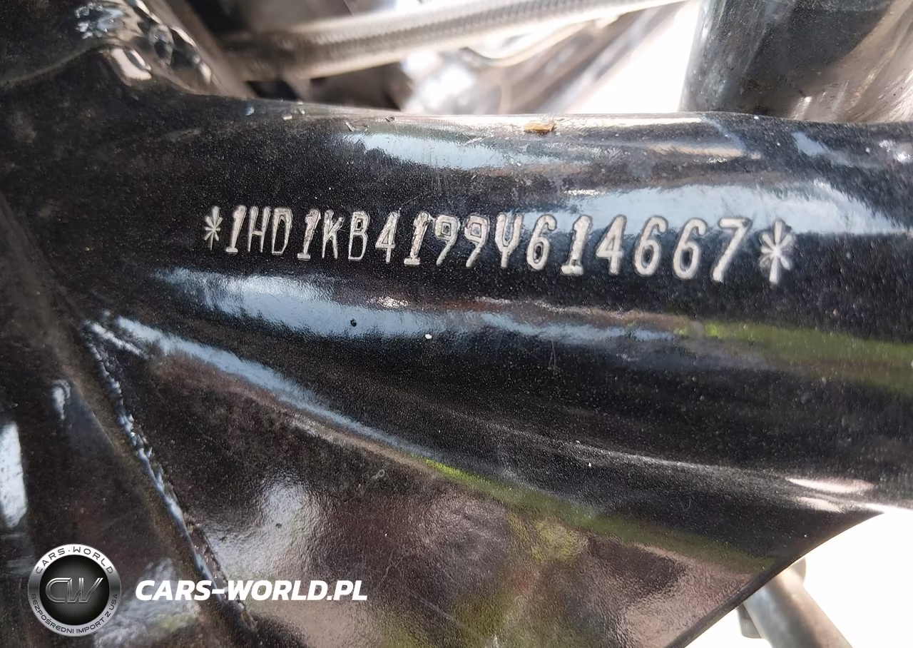 2009 Harley-Davidson Flhx VIN:1HD1KB4199Y614667 - 10