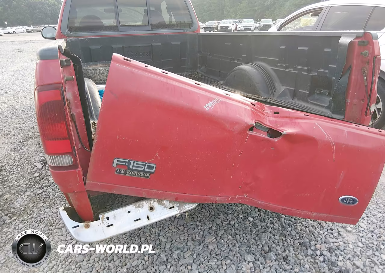 1999 Ford F-150 Lariat-Work Series-Xl-Xlt VIN:1FTRX17W9XNC05395 - 6