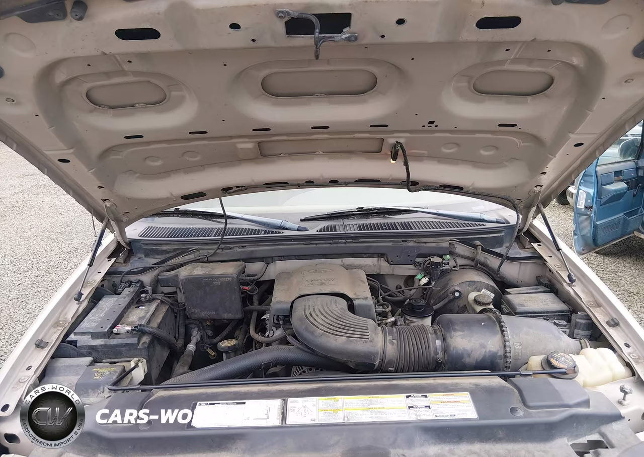 1998 Ford Expedition Eddie Bauer-Xlt VIN:1FMRU18W5WLB64762 - 10