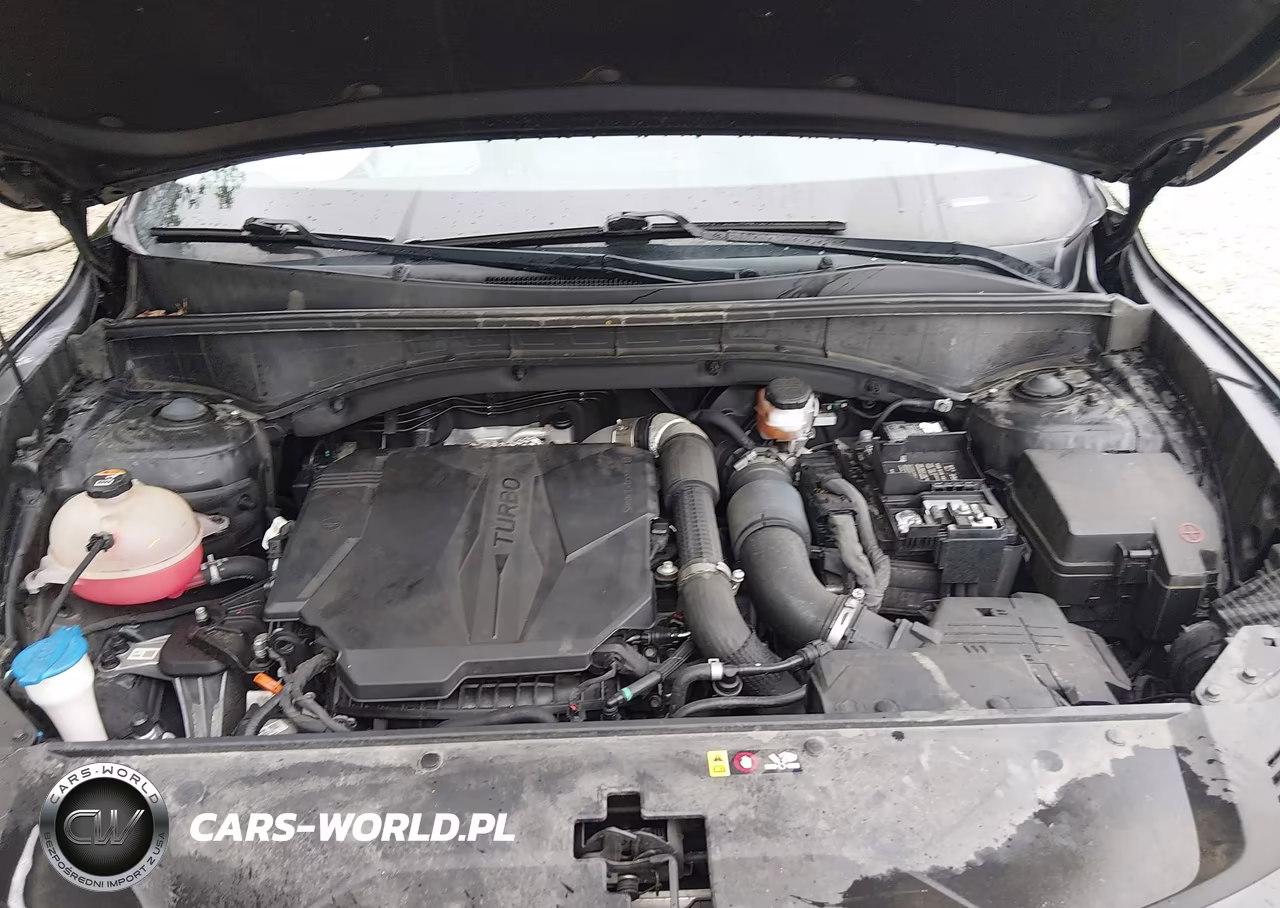 2023 Kia Sorento X-Line Ex VIN:5XYRHDLF0PG163582 - 10